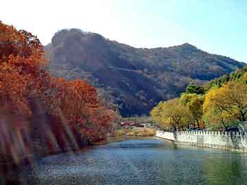 澳门二四六天天彩图库，雪中悍刀行小说